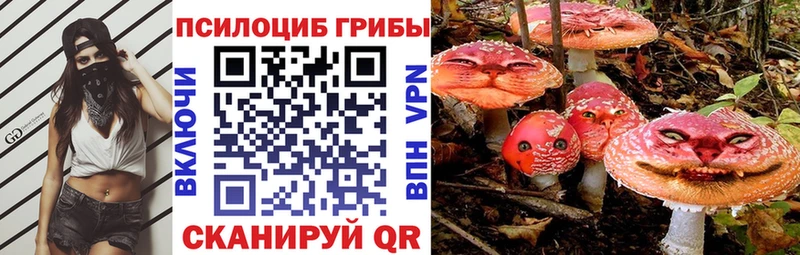 цены наркотик Щигры Псилоцибиновые грибы Psilocybine cubensis