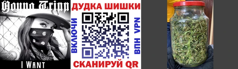 Бошки марихуана AK-47 Щигры